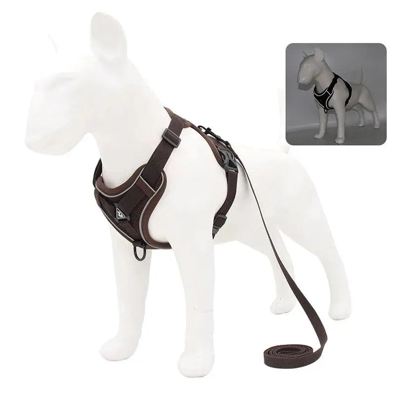 Adjustable Chest Strap Harness and Leash Set For Small and Medium Dogs - Trusted Pet Products