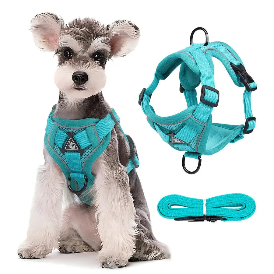 Adjustable Chest Strap Harness and Leash Set For Small and Medium Dogs Trusted Pet Products