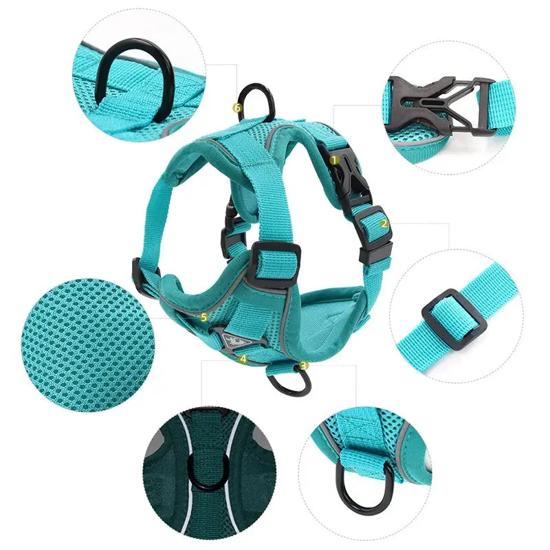 Adjustable Chest Strap Harness and Leash Set For Small and Medium Dogs Trusted Pet Products