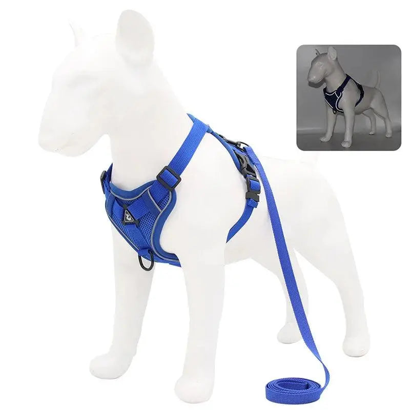 Adjustable Chest Strap Harness and Leash Set For Small and Medium Dogs - Trusted Pet Products