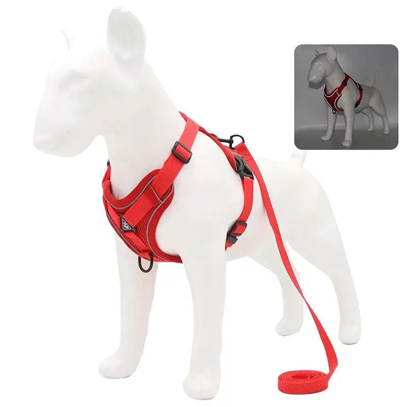 Adjustable Chest Strap Harness and Leash Set For Small and Medium Dogs - Trusted Pet Products