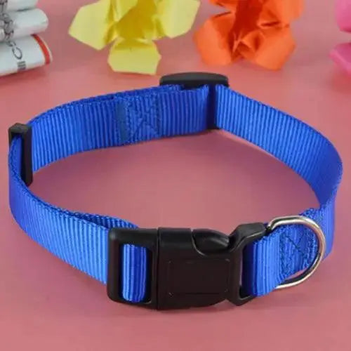 Adjustable Dog Puppy Cat Pet Safety Nylon Necklace Fashion Buckle Neck Collar Harnesses Leads Dog Supplies - Trusted Pet Products