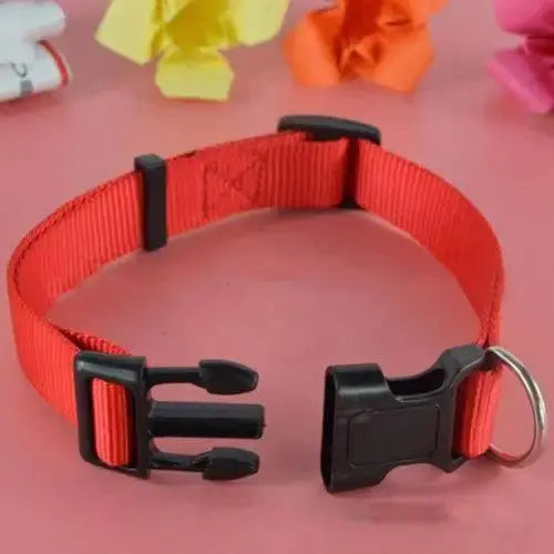 Adjustable Dog Puppy Cat Pet Safety Nylon Necklace Fashion Buckle Neck Collar Harnesses Leads Dog Supplies - Trusted Pet Products