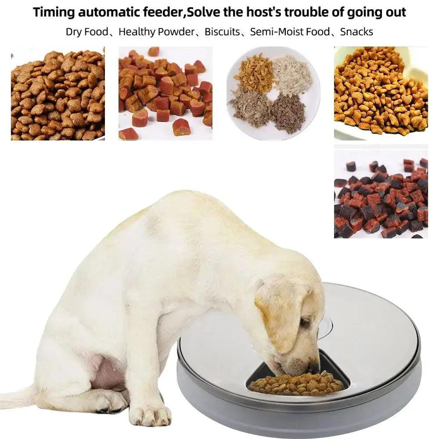 Automatic Electric Pet Dog Feeder Dry Food Dispenser with Timer 6 Meals 6 Grids Round - Trusted Pet Products