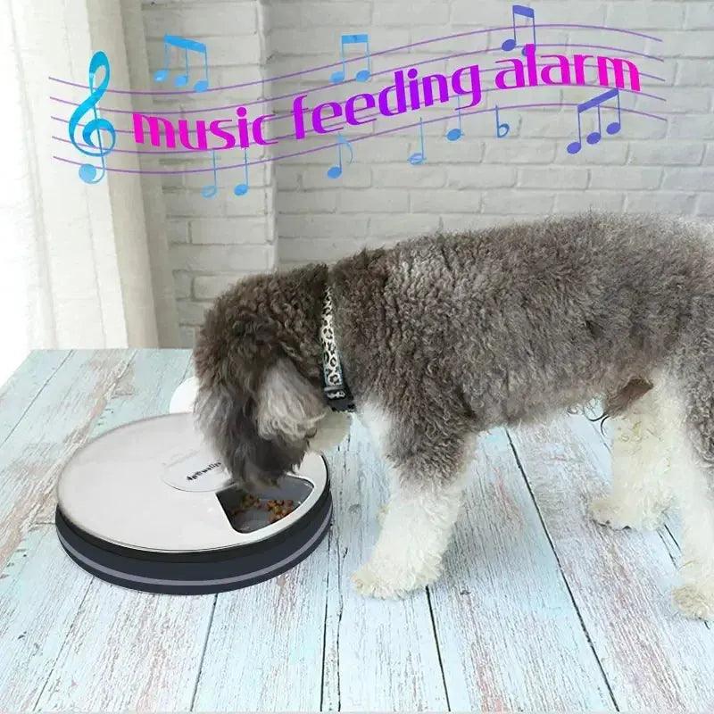 Automatic Electric Pet Dog Feeder Dry Food Dispenser with Timer 6 Meals 6 Grids Round - Trusted Pet Products