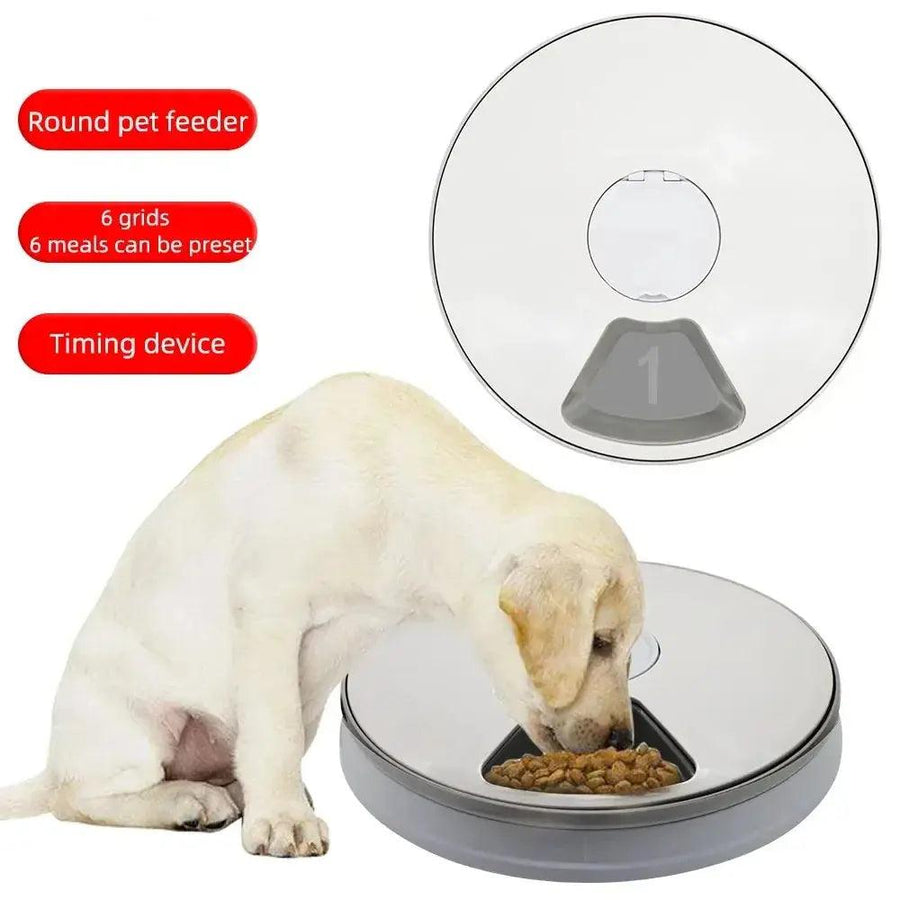 Automatic Electric Pet Dog Feeder Dry Food Dispenser with Timer 6 Meals 6 Grids Round - Trusted Pet Products