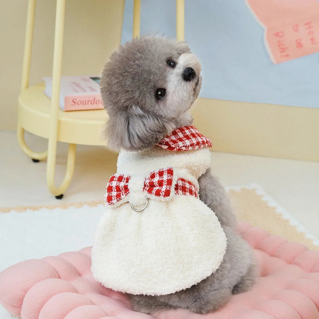 Autumn Winter Dog Clothes Plaid Couple Dog Jacket and Dress for Small Dogs Trusted Pet Products