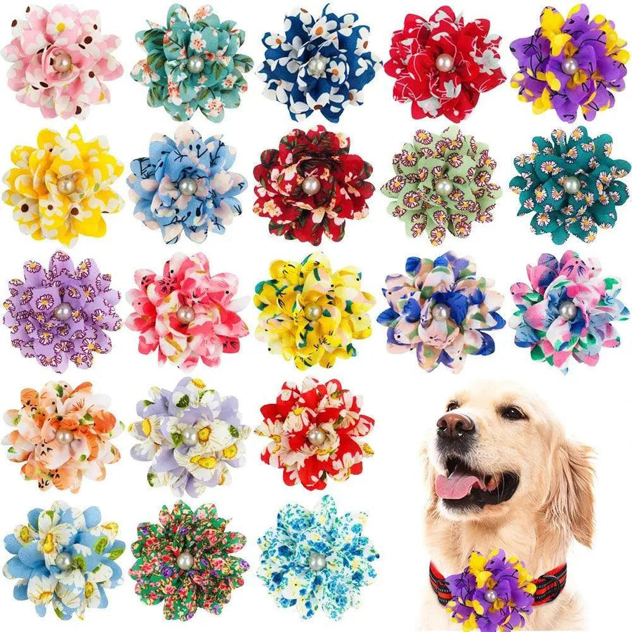 Big Flower Collar for Dogs - Trusted Pet Products