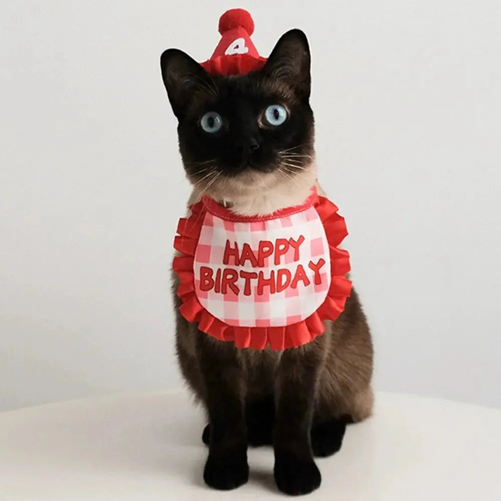 Birthday Party Hat and Scarf for Small Dogs Trusted Pet Products