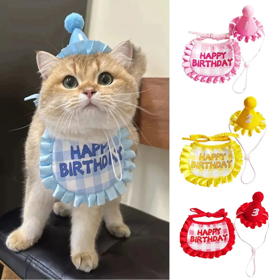 Birthday Party Hat and Scarf for Small Dogs Trusted Pet Products