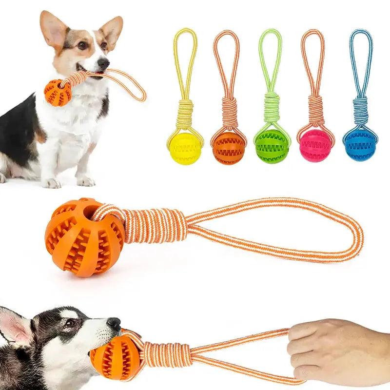 Bite Resistant Interactive Dog Rubber Toy - Trusted Pet Products