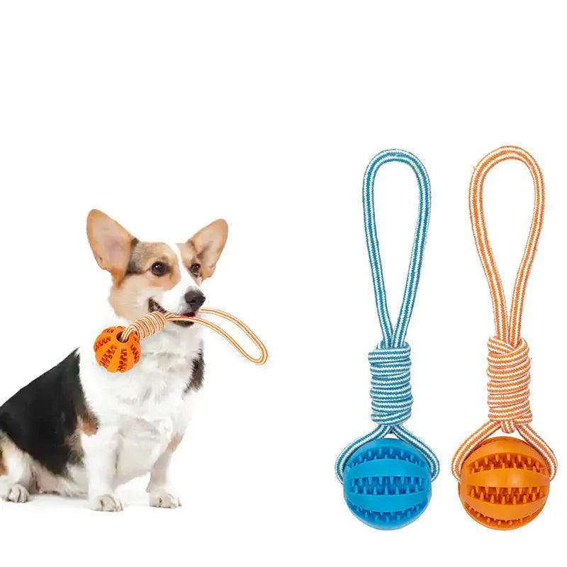 Bite Resistant Interactive Dog Rubber Toy - Trusted Pet Products