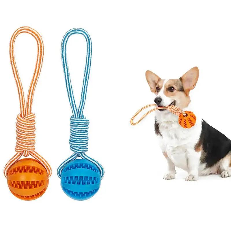 Bite Resistant Interactive Dog Rubber Toy - Trusted Pet Products