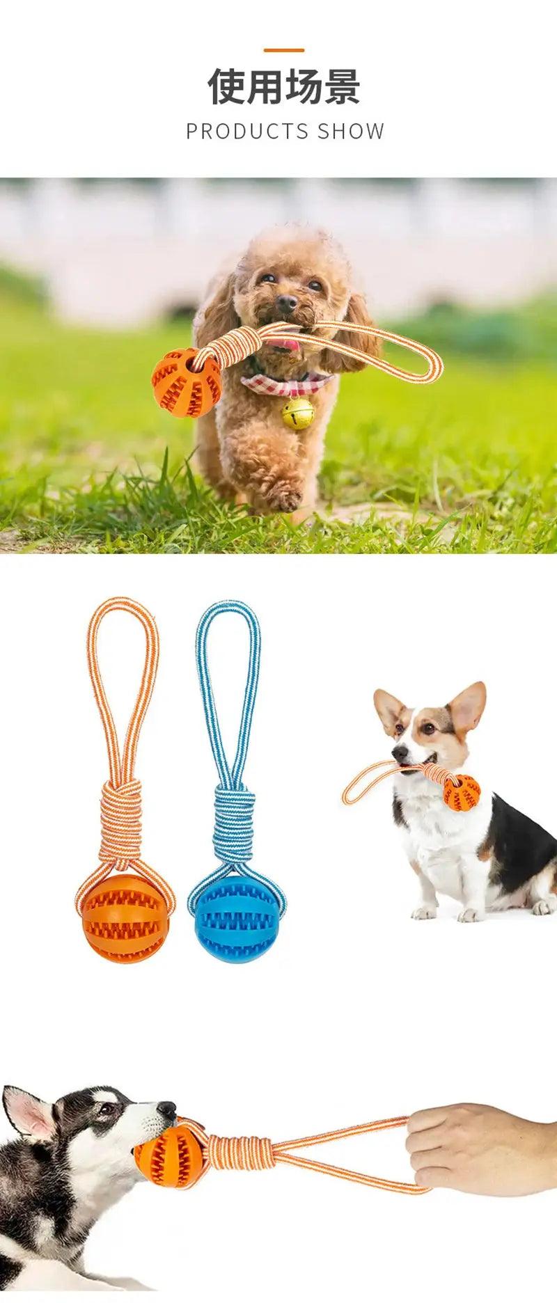 Bite Resistant Interactive Dog Rubber Toy - Trusted Pet Products