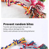 Bite-resistant Cotton Rope Knot for Dogs - Trusted Pet Products