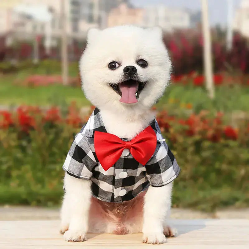 Bowtie Dog T-Shirts Classical Plaid Thin Breathable Summer Clothes Trusted Pet Products