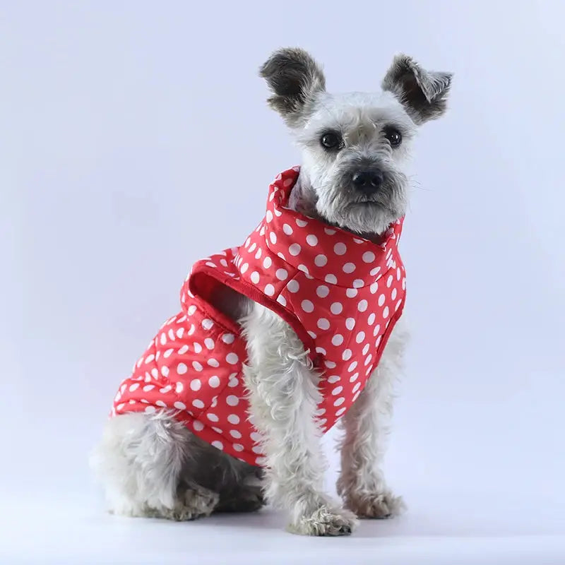 Camouflage Vest For Small Dogs Trusted Pet Products