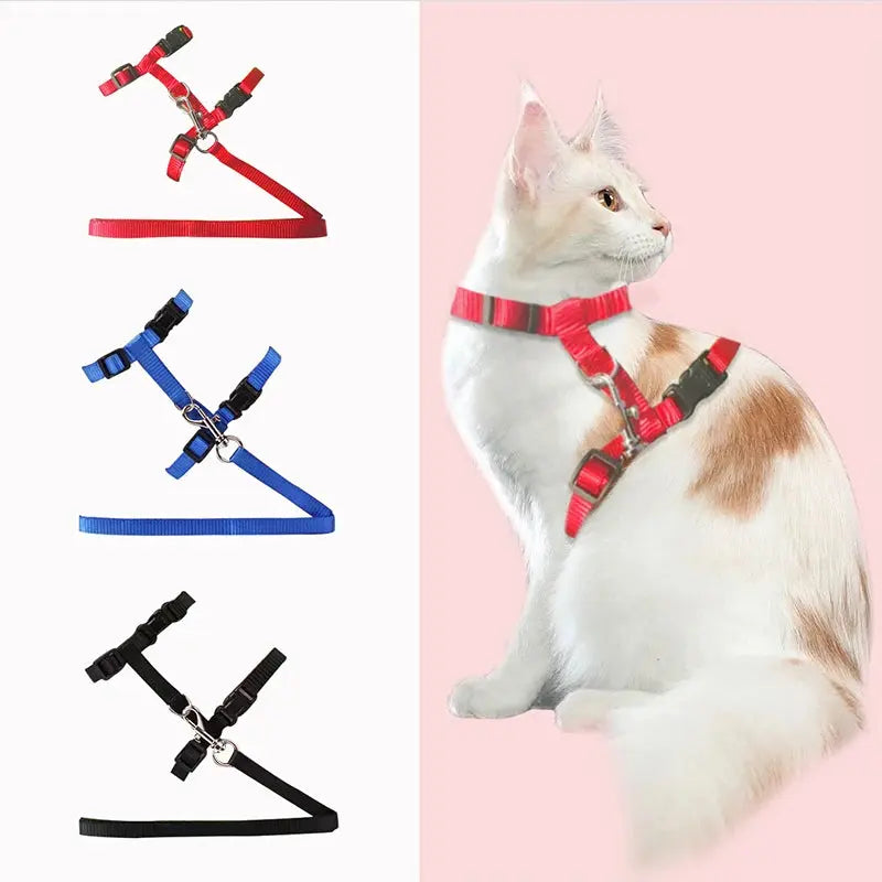 Cat Collar Harness Leash Adjustable Nylon Pet Traction Cat Kitten Dog Halter Collar gato Cats Products Pet Harness Belt - Trusted Pet Products