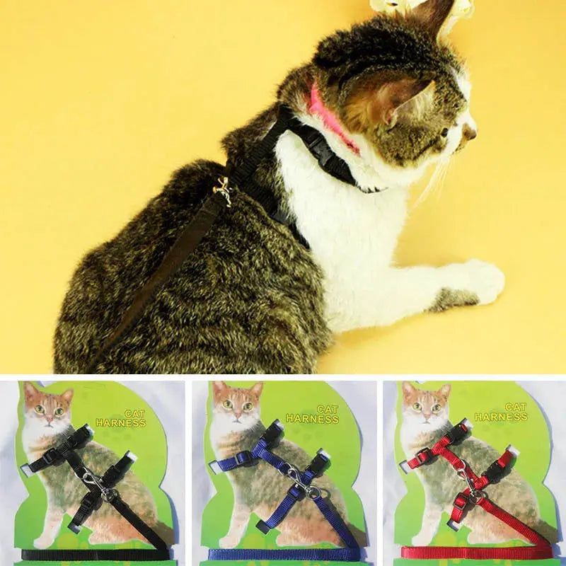 Cat Collar Harness Leash Adjustable Nylon Pet Traction Cat Kitten Dog Halter Collar gato Cats Products Pet Harness Belt - Trusted Pet Products