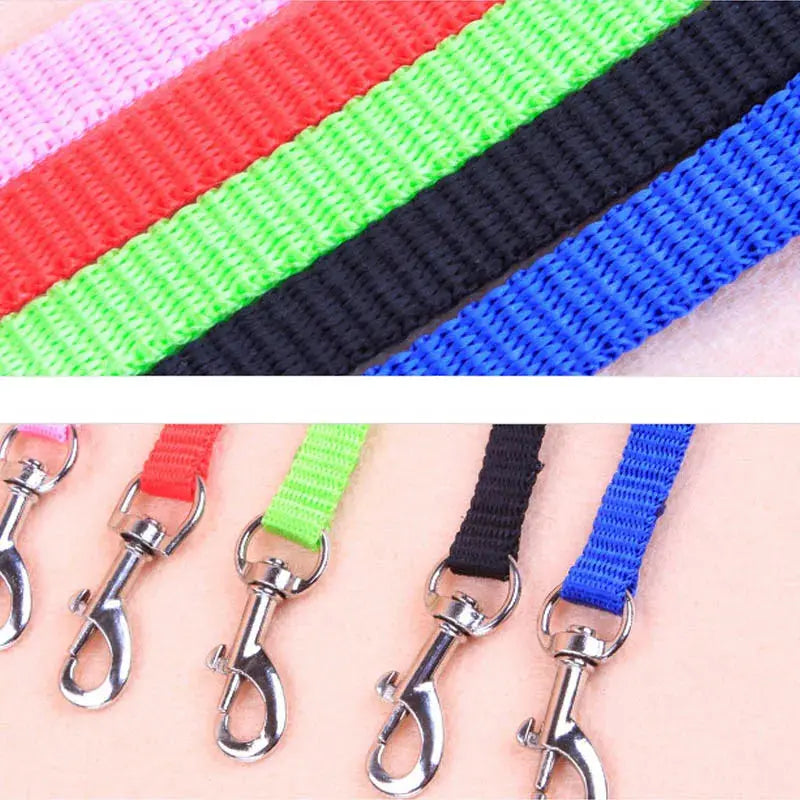 Cat Collar Harness Leash Adjustable Nylon Pet Traction Cat Kitten Dog Halter Collar gato Cats Products Pet Harness Belt - Trusted Pet Products