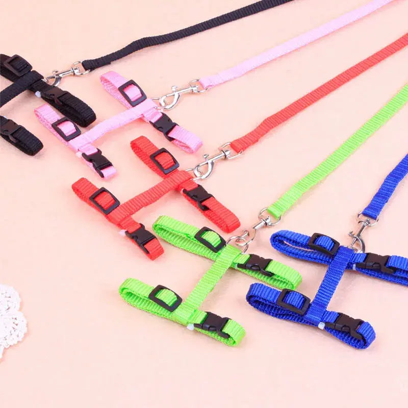 Cat Collar Harness Leash Adjustable Nylon Pet Traction Cat Kitten Dog Halter Collar gato Cats Products Pet Harness Belt - Trusted Pet Products