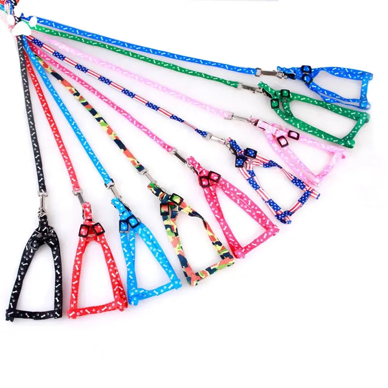 Cat Collar Harness Leash Adjustable Nylon Pet Traction Cat Kitten Dog Halter Collar gato Cats Products Pet Harness Belt - Trusted Pet Products