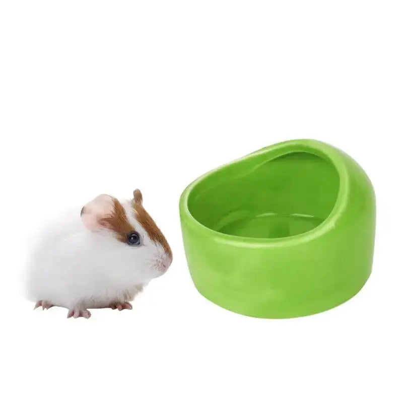 Ceramic Pet Feeding Bowl Hamster Chinchilla Rabbit Food Feeding Bowl Anti-turning For Small Animals Hamster Pet Feeding Supplies - Trusted Pet Products