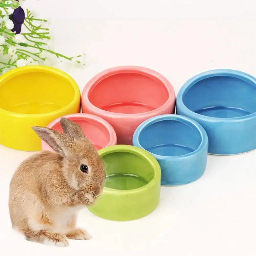 Ceramic Pet Feeding Bowl Hamster Chinchilla Rabbit Food Feeding Bowl Anti-turning For Small Animals Hamster Pet Feeding Supplies - Trusted Pet Products