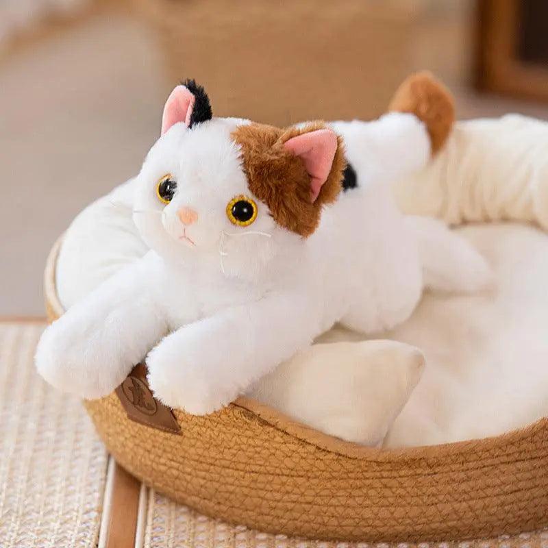 Cute Cat Children Accompany Kitten Doll Plush Toy Girls Birthday - Trusted Pet Products