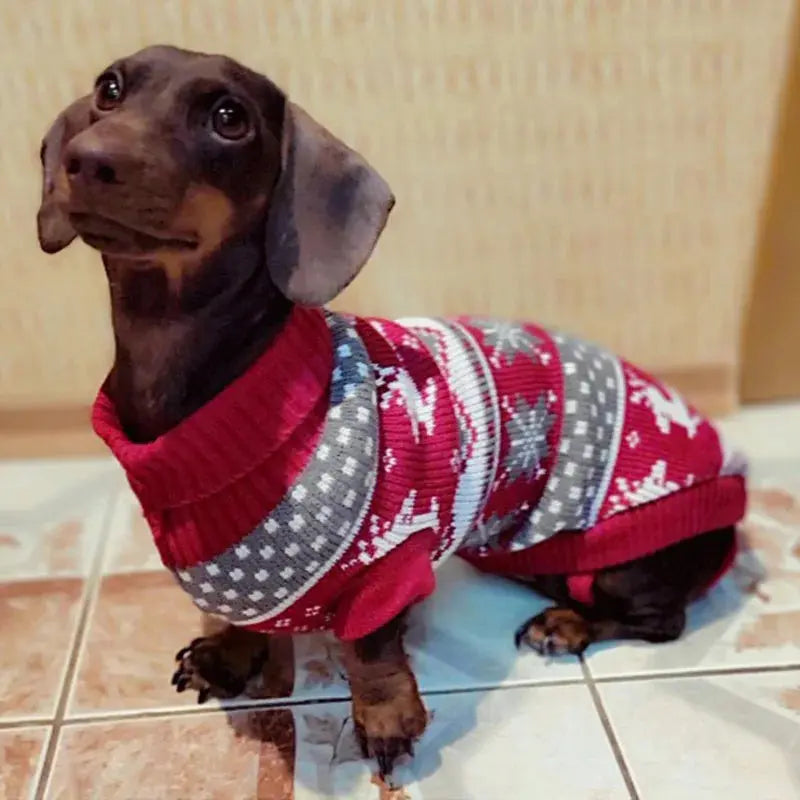 Cute Winter Sweater for Small Dogs Trusted Pet Products