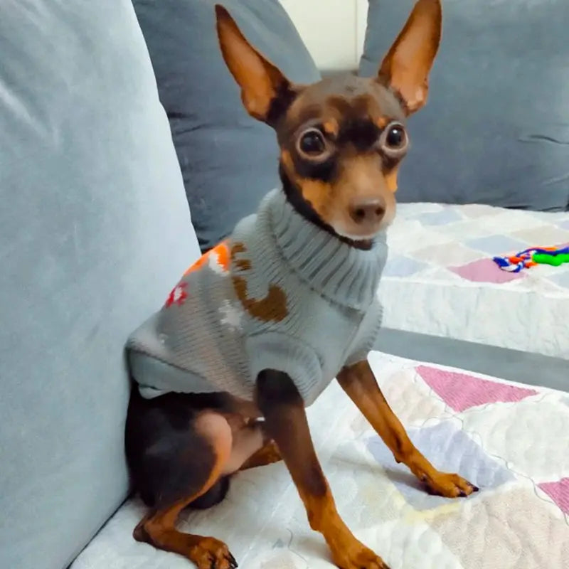 Cute Winter Sweater for Small Dogs Trusted Pet Products