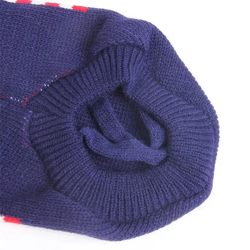 Cute Winter Sweater for Small Dogs Trusted Pet Products