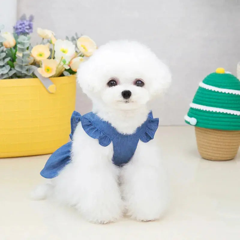 Denim Dress for Dogs Trusted Pet Products