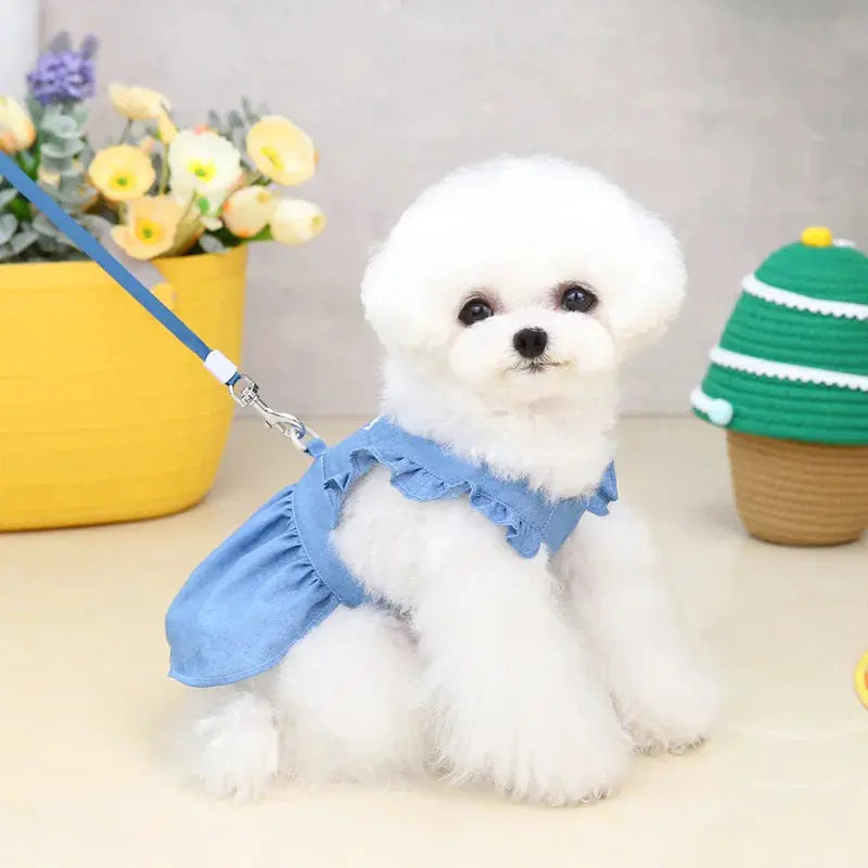 Denim Dress for Dogs Trusted Pet Products