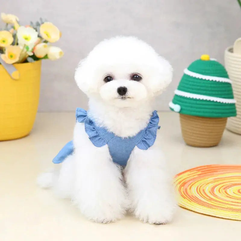 Denim Dress for Dogs Trusted Pet Products