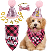 Dog Birthday Party Supplies Birthday Boy Girl Cake Bandana Triangle Scarf Clothes - Trusted Pet Products