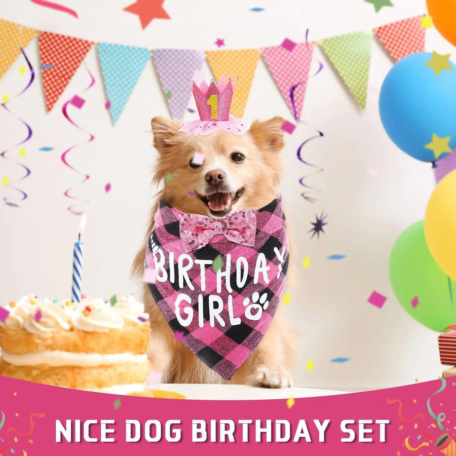 Dog Birthday Party Supplies Birthday Boy Girl Cake Bandana Triangle Scarf Clothes - Trusted Pet Products