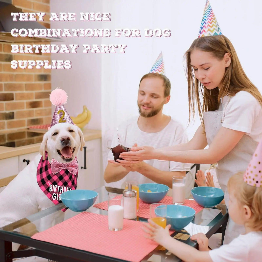 Dog Birthday Party Supplies Birthday Boy Girl Cake Bandana Triangle Scarf Clothes - Trusted Pet Products