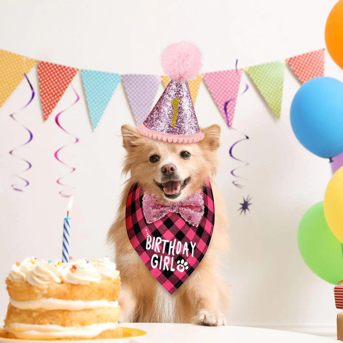 Dog Birthday Party Supplies Birthday Boy Girl Cake Bandana Triangle Scarf Clothes - Trusted Pet Products