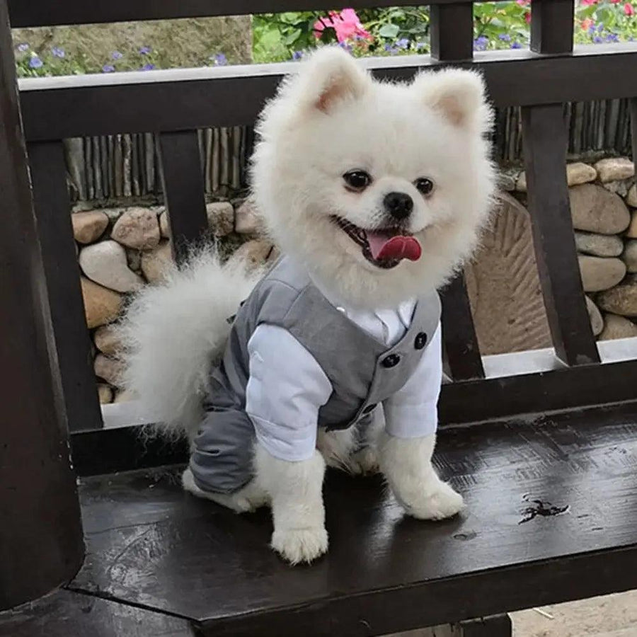 Dog Gentleman Wedding Suit Clothing Dog Tuxedo Suit Wedding Party Clothes For Small Dogs Formal Puppy Pet Coat Jacket Outfits - Trusted Pet Products