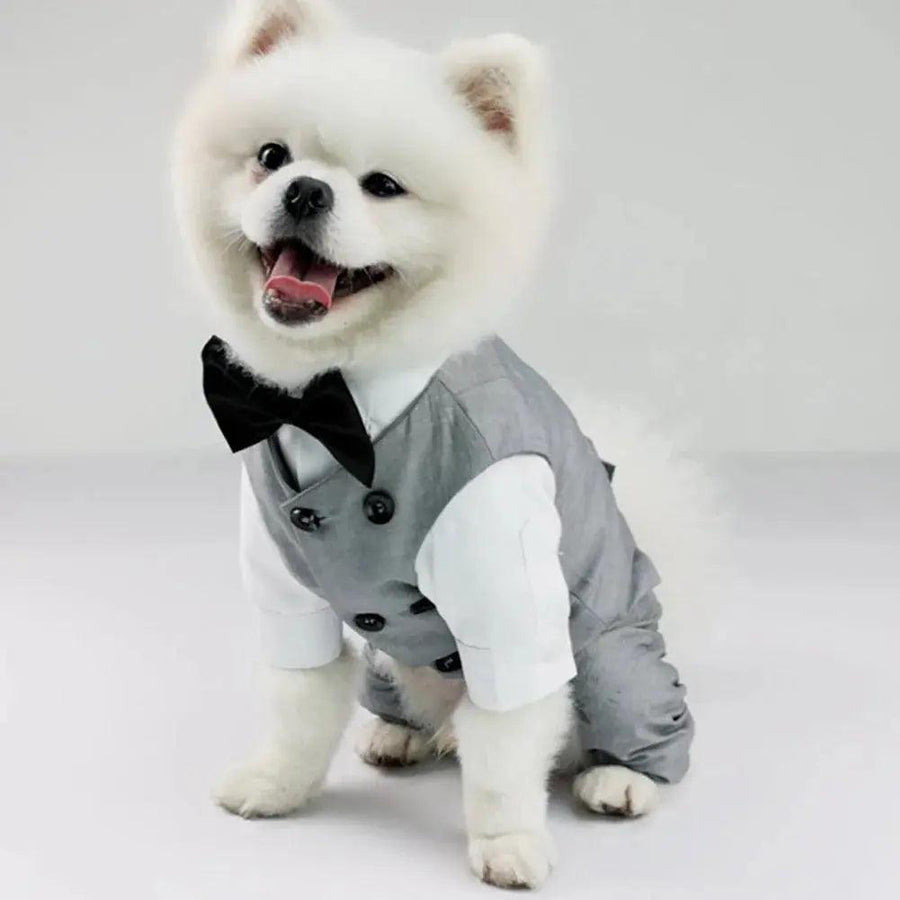 Dog Gentleman Wedding Suit Clothing Dog Tuxedo Suit Wedding Party Clothes For Small Dogs Formal Puppy Pet Coat Jacket Outfits - Trusted Pet Products