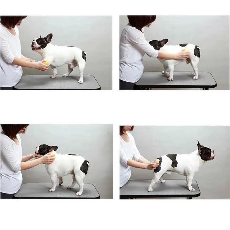 Dog Silicone Massage Brush with Gentle Bristles - Trusted Pet Products