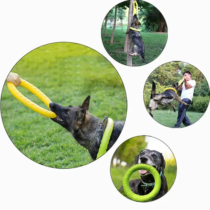 Dog Toys Pet Flying Disk Training Ring Puller Trusted Pet Products