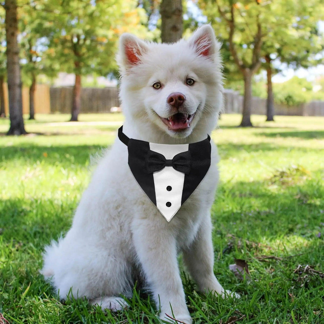 Dog Tuxedo Dog Suit Dog Wedding Bandana Collar with Bow Tie - Trusted Pet Products