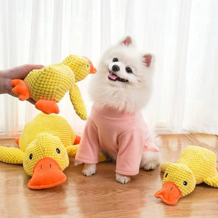 Duck Shape Quacking Chewable Dog Toy - Trusted Pet Products