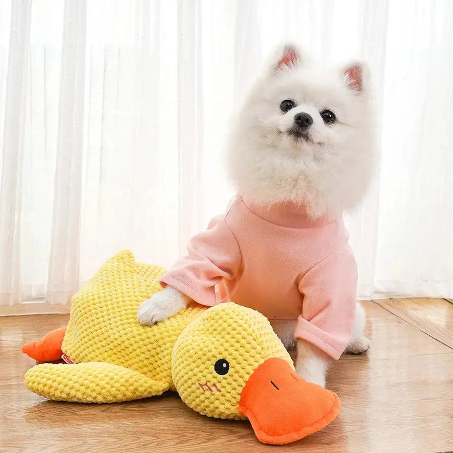 Duck Shape Quacking Chewable Dog Toy - Trusted Pet Products