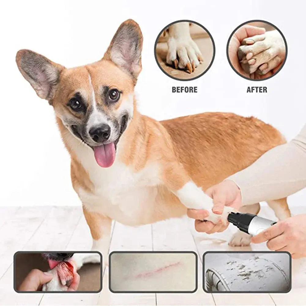 Electric Nail Grinder Pet Grooming Gadget Diamond Bit Replacement Head Trusted Pet Products