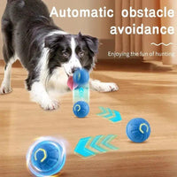 Electronic Interactive Moving Ball Pet Toy - Trusted Pet Products