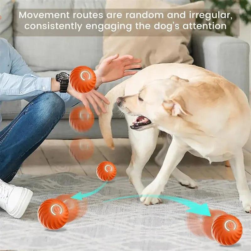 Electronic Interactive Moving Ball Pet Toy - Trusted Pet Products