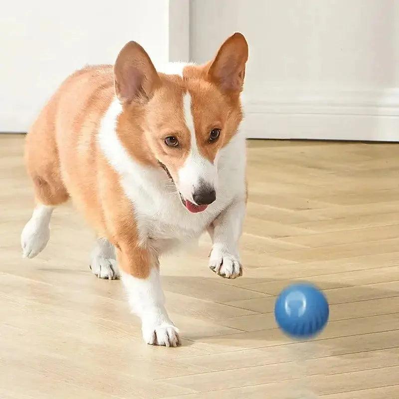 Electronic Interactive Moving Ball Pet Toy - Trusted Pet Products